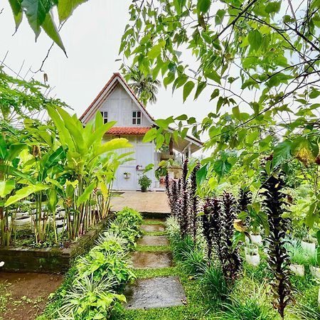 Pondok Is Oke Villa Scenic View Баньюванги Экстерьер фото
