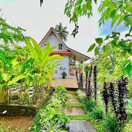Pondok Is Oke Villa Scenic View Баньюванги Экстерьер фото