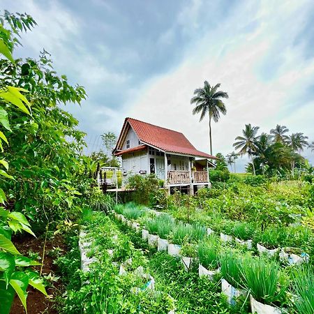 Pondok Is Oke Villa Scenic View Баньюванги Экстерьер фото