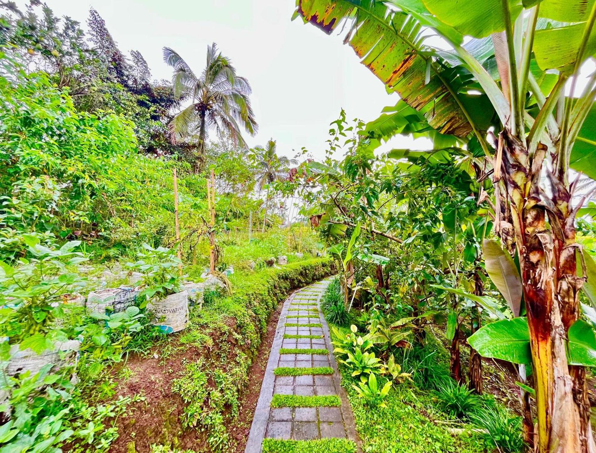 Pondok Is Oke Villa Scenic View Баньюванги Экстерьер фото