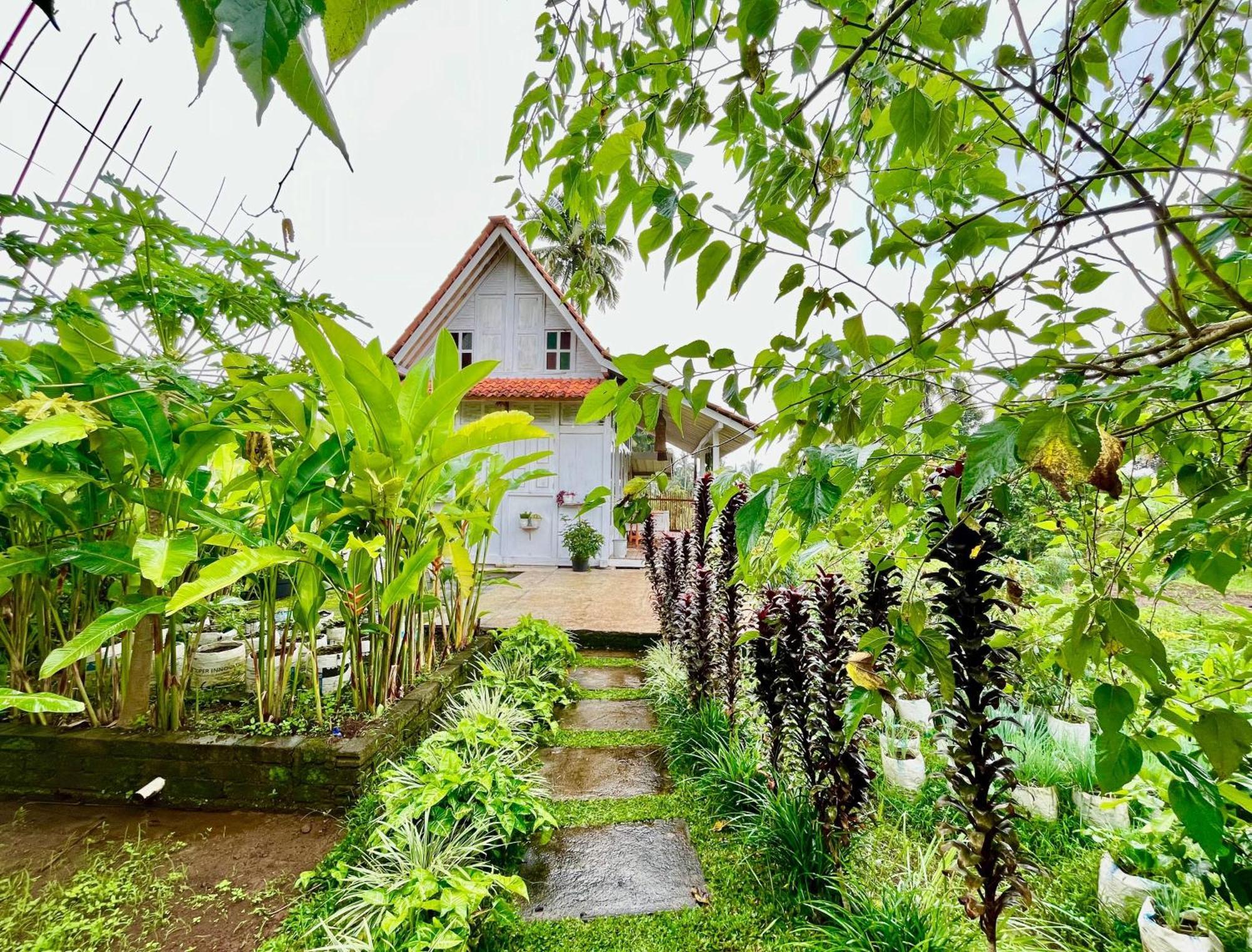 Pondok Is Oke Villa Scenic View Баньюванги Экстерьер фото