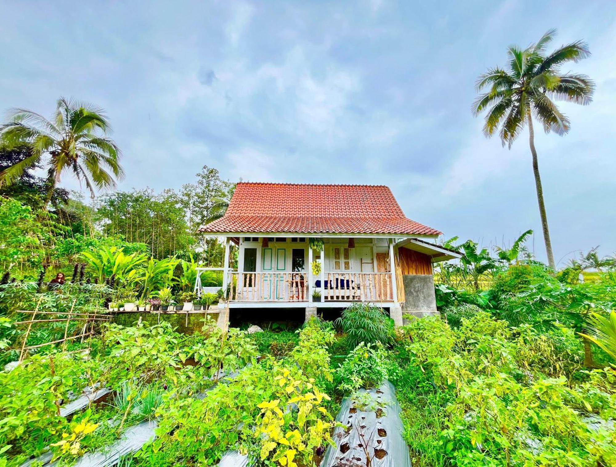 Pondok Is Oke Villa Scenic View Баньюванги Экстерьер фото