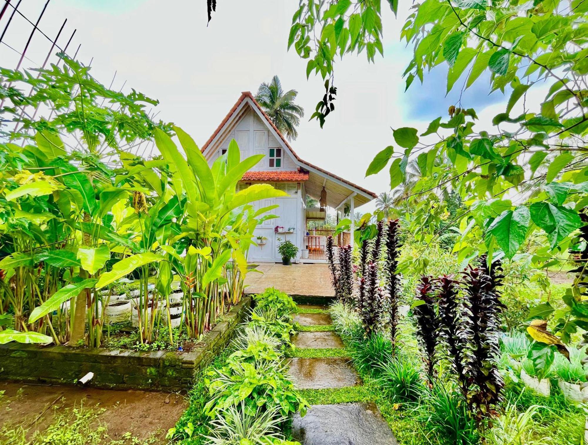 Pondok Is Oke Villa Scenic View Баньюванги Экстерьер фото