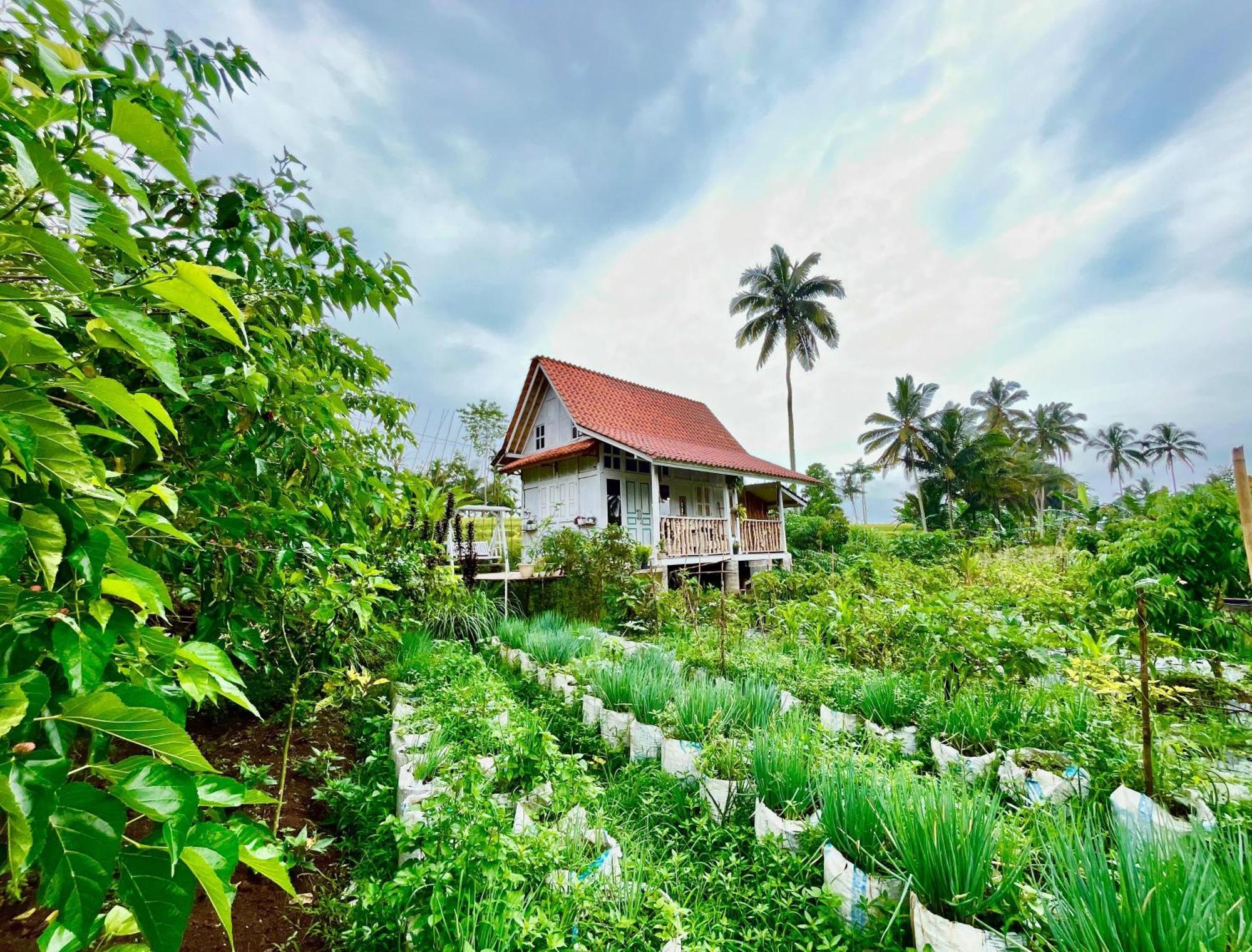 Pondok Is Oke Villa Scenic View Баньюванги Экстерьер фото