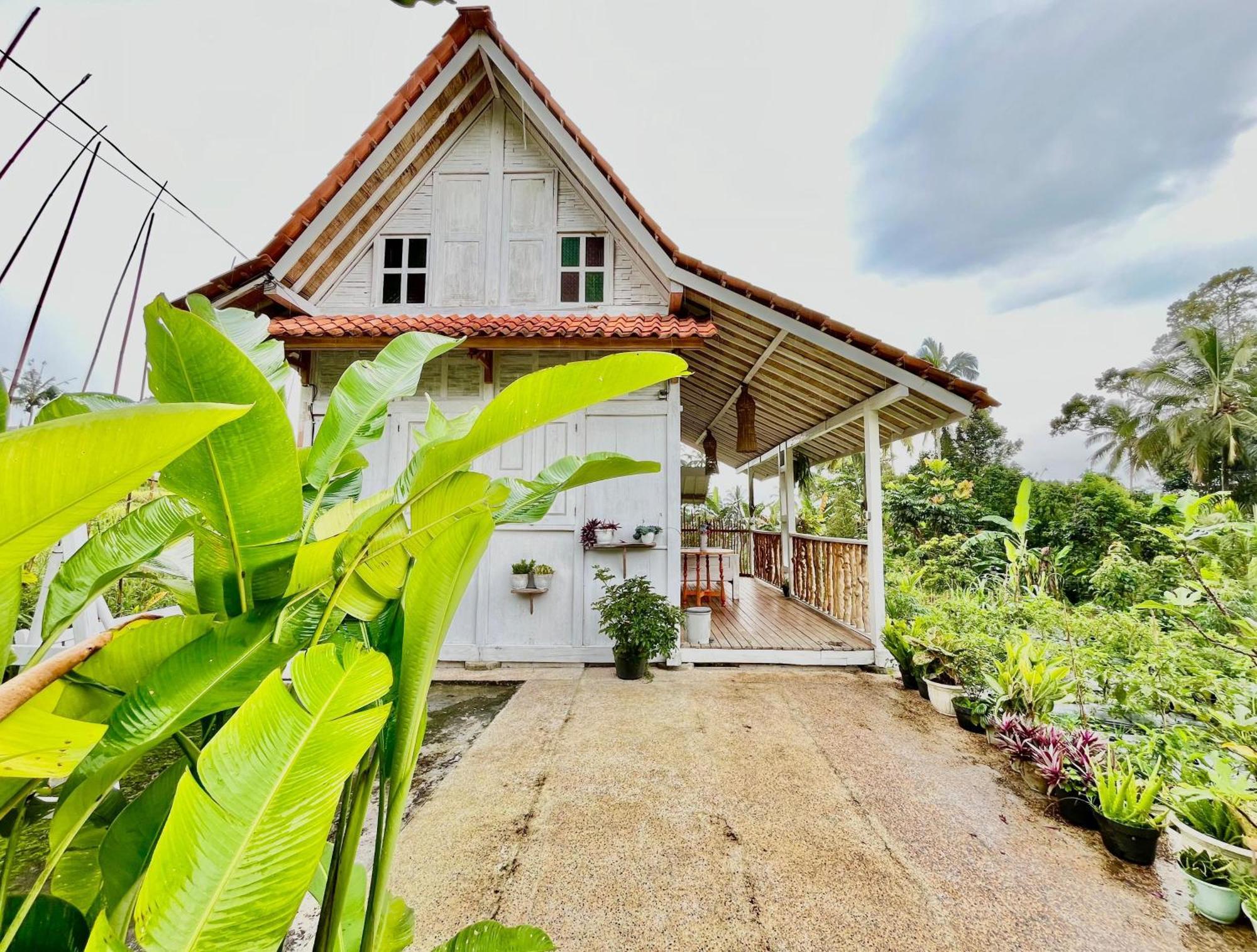 Pondok Is Oke Villa Scenic View Баньюванги Экстерьер фото