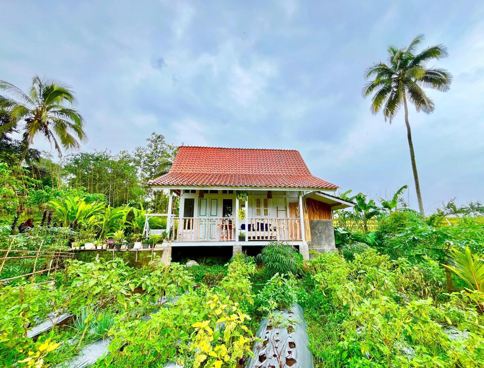 Pondok Is Oke Villa Scenic View Баньюванги Экстерьер фото