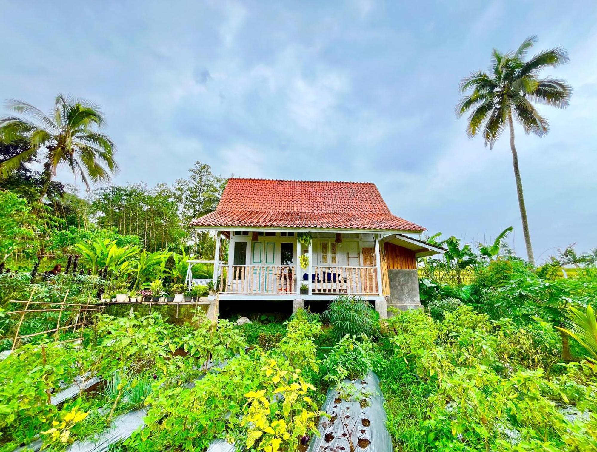 Pondok Is Oke Villa Scenic View Баньюванги Экстерьер фото