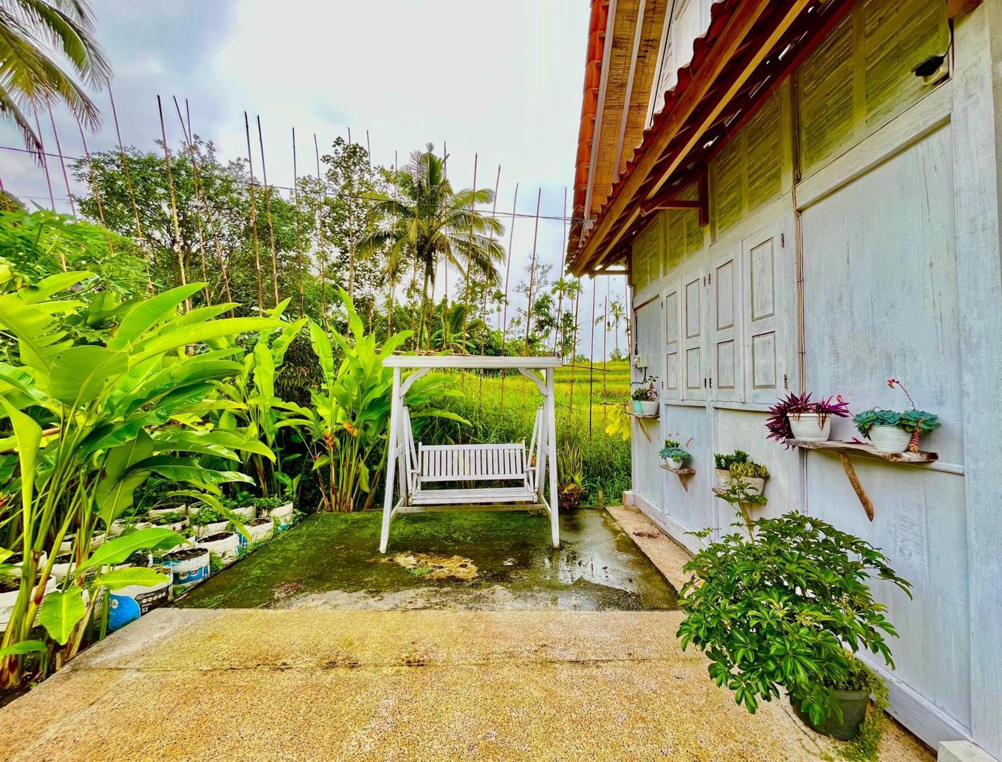 Pondok Is Oke Villa Scenic View Баньюванги Экстерьер фото