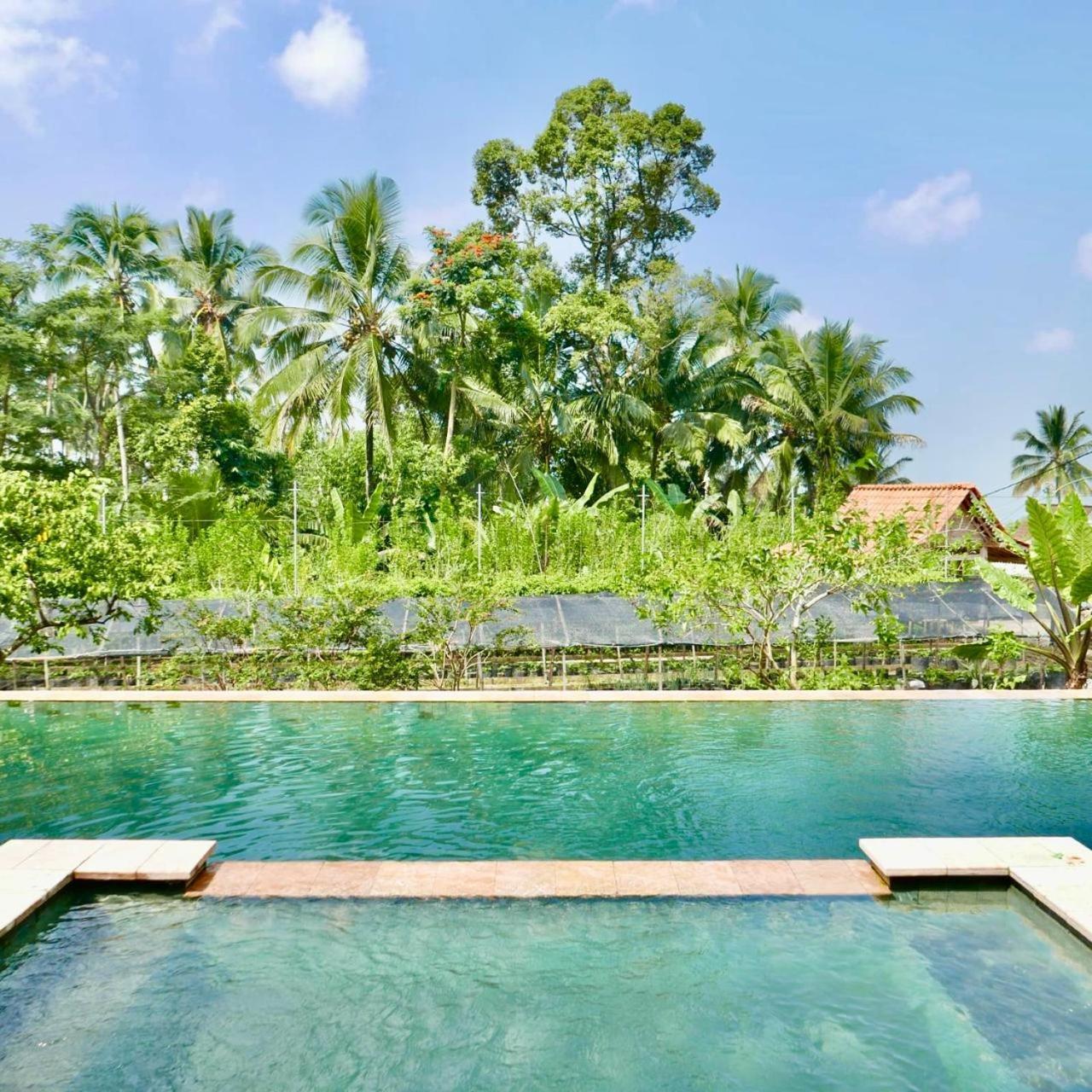 Pondok Is Oke Villa Scenic View Баньюванги Экстерьер фото