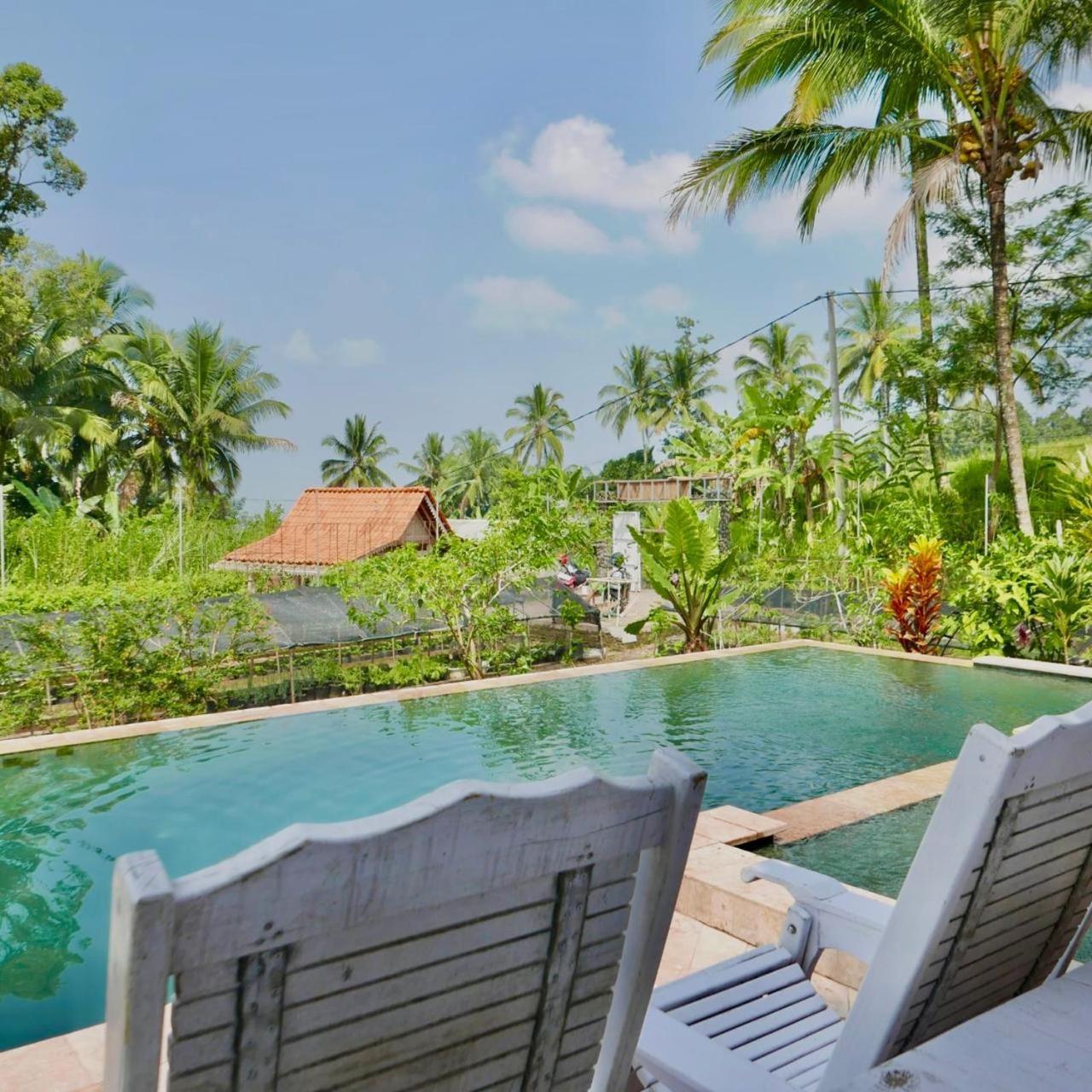 Pondok Is Oke Villa Scenic View Баньюванги Экстерьер фото