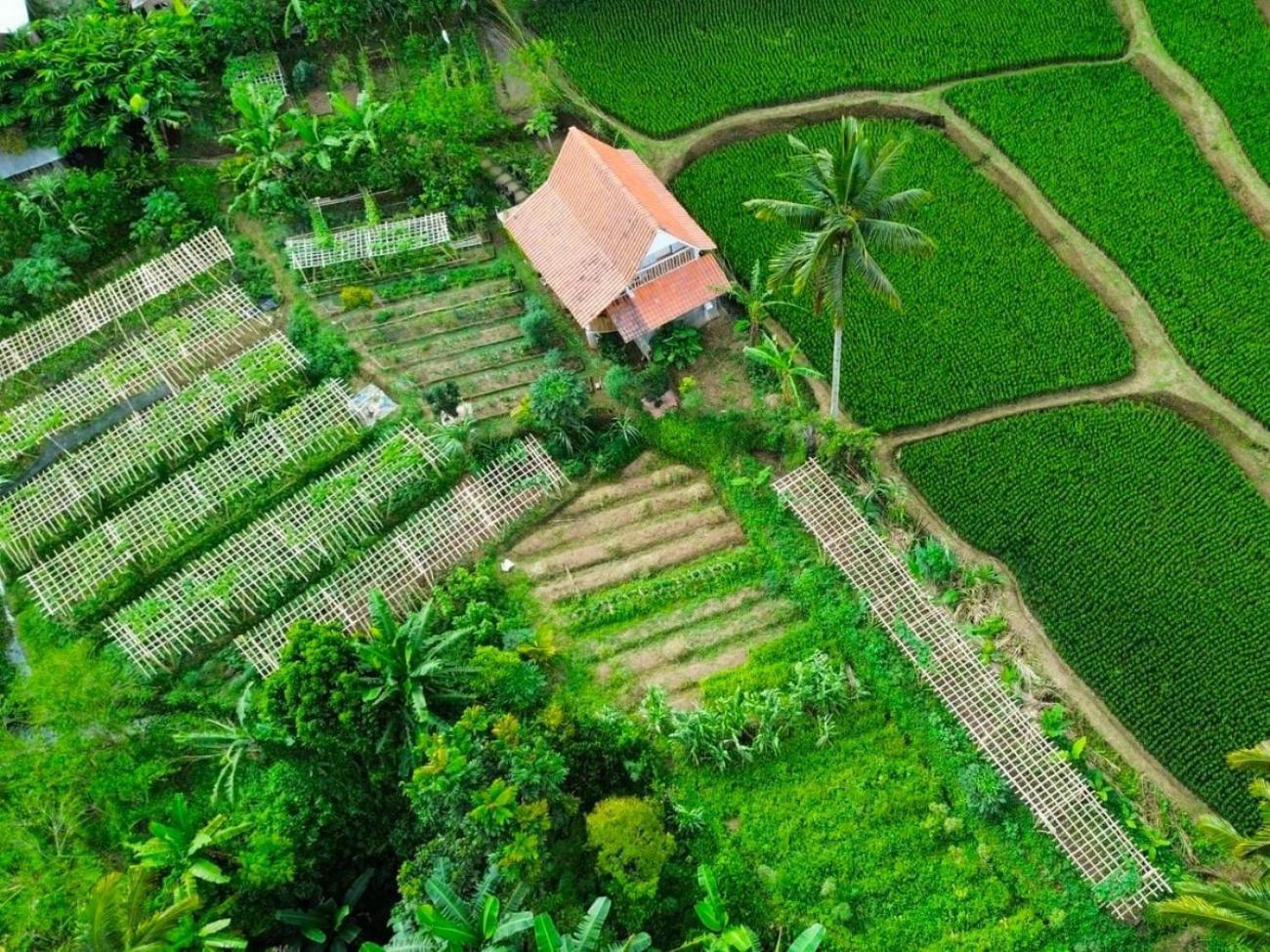 Pondok Is Oke Villa Scenic View Баньюванги Экстерьер фото
