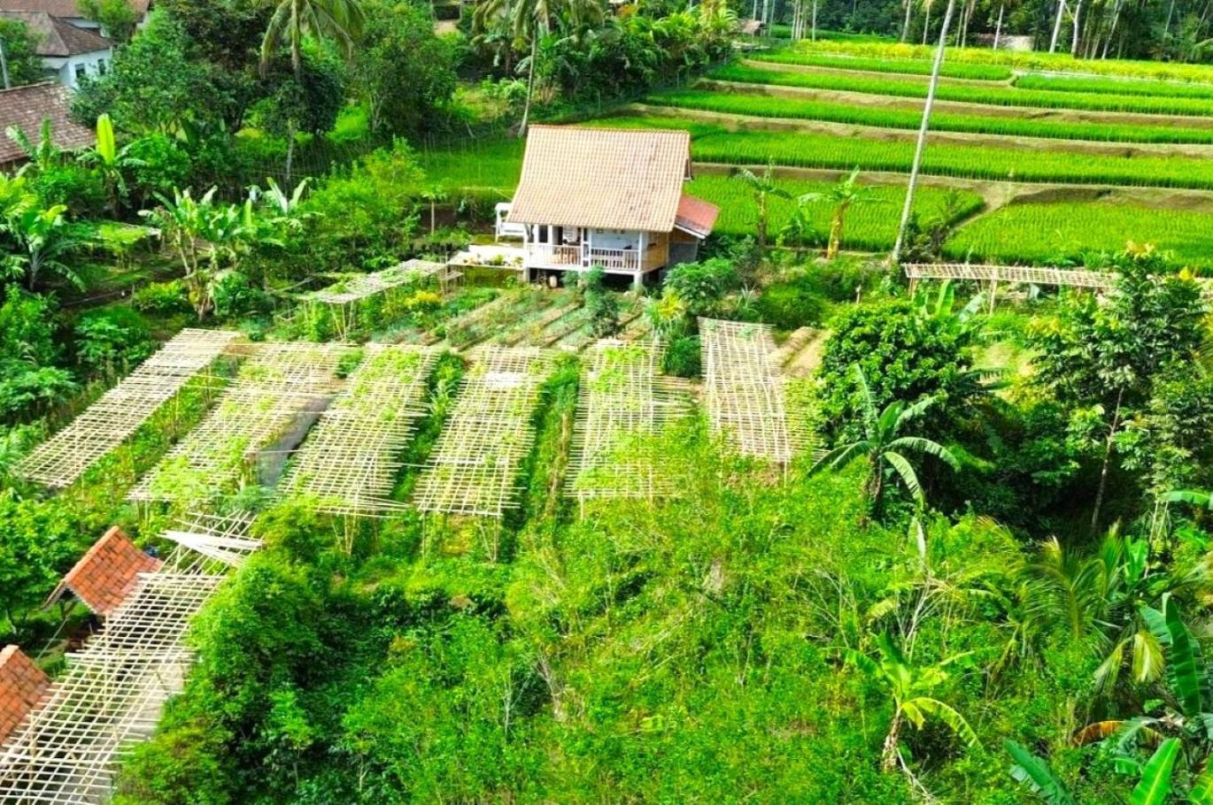 Pondok Is Oke Villa Scenic View Баньюванги Экстерьер фото