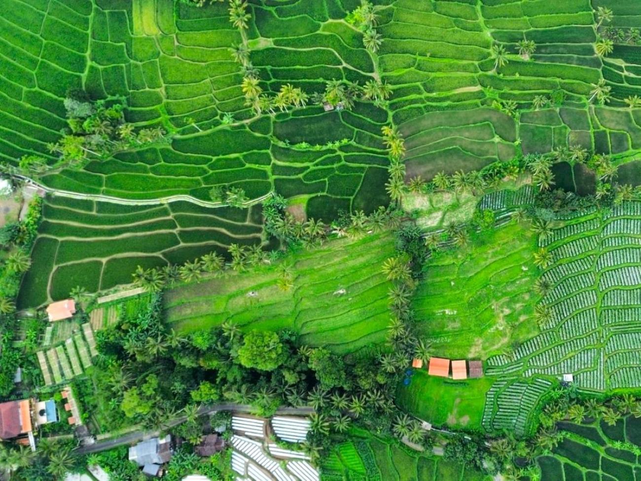 Pondok Is Oke Villa Scenic View Баньюванги Экстерьер фото