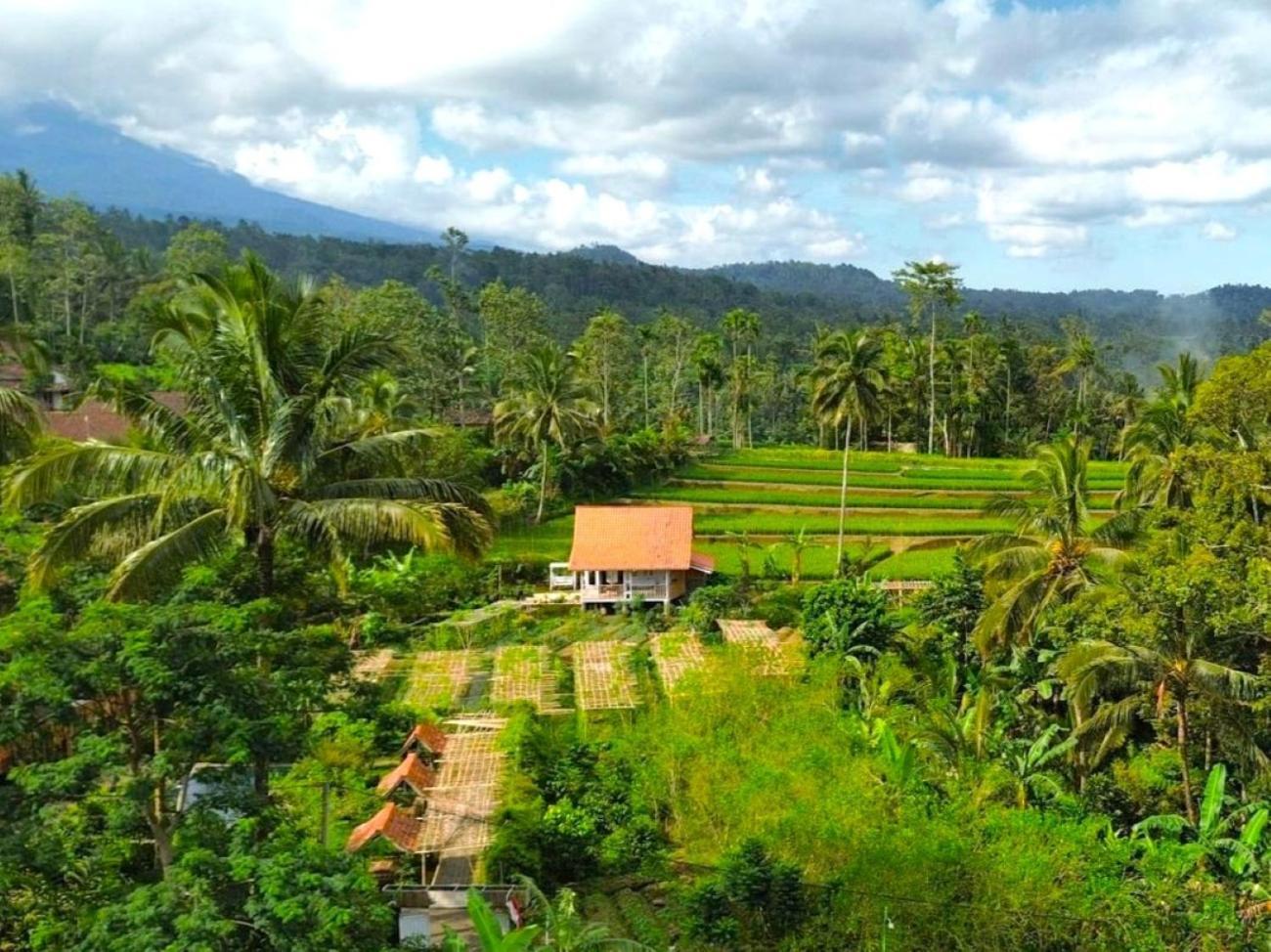 Pondok Is Oke Villa Scenic View Баньюванги Экстерьер фото