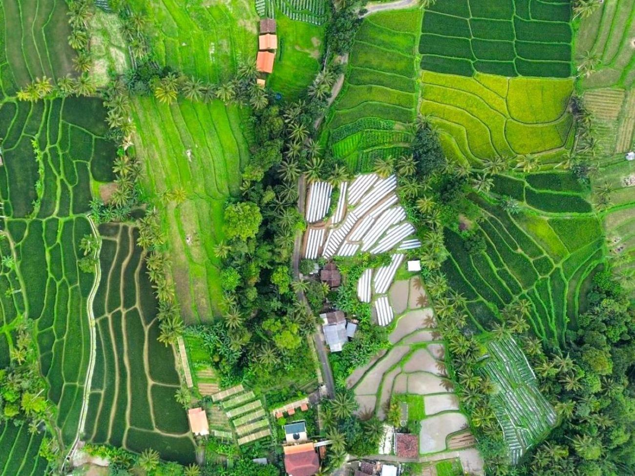 Pondok Is Oke Villa Scenic View Баньюванги Экстерьер фото