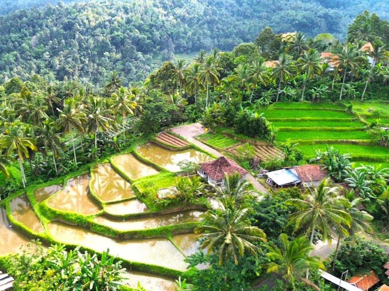 Pondok Is Oke Villa Scenic View Баньюванги Экстерьер фото